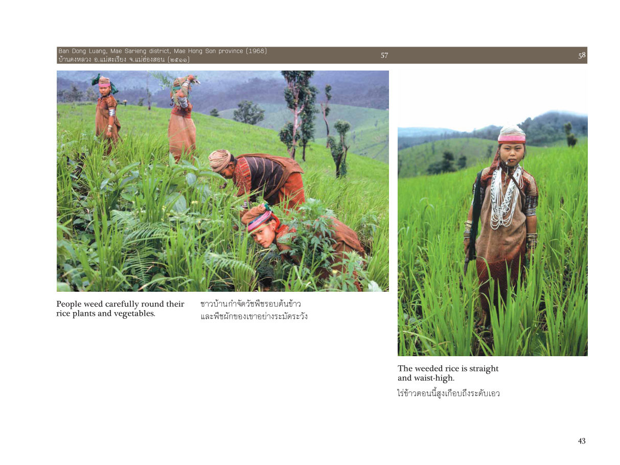 ย้อนยลชนชาติพันธุ์: ภาพถ่ายกึ่งศตวรรษวิถีชีวิตบนพื้นที่สูงในภาคเหนือ — page-045